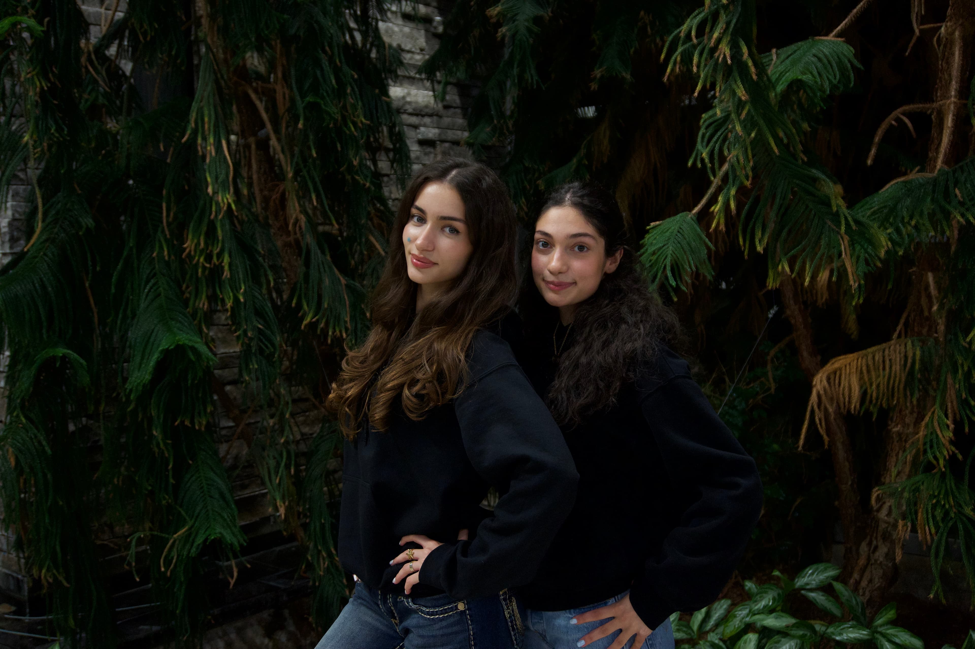 Fatema Jamshidi and Emitis Honarbakhsh
