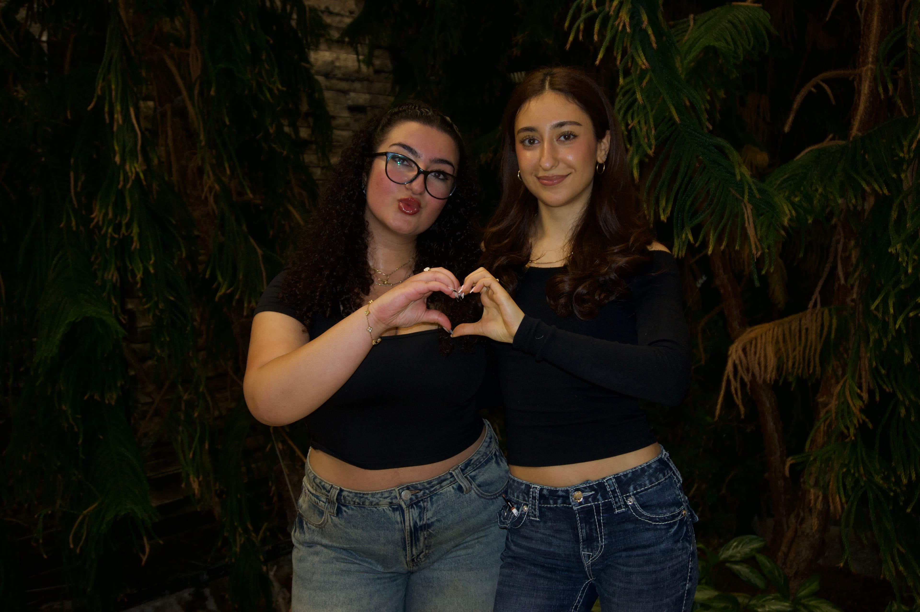 Rojina Payamipour and Rose Moosavian